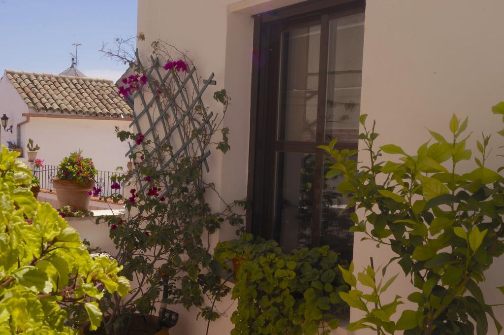 Penthouse Puerta De La Juderia Lejlighed Córdoba Eksteriør billede